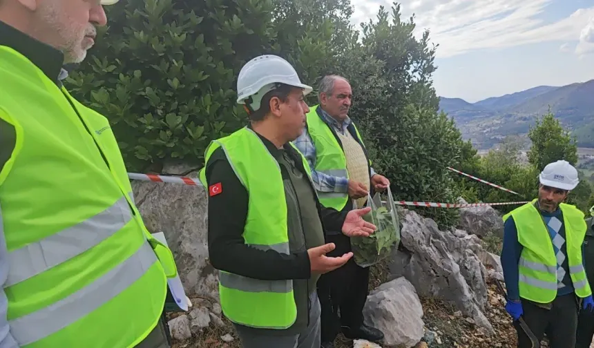 Kahramanmaraş’ta Defne Seferberliği: Amaç Kazancı Bölgede Tutmak