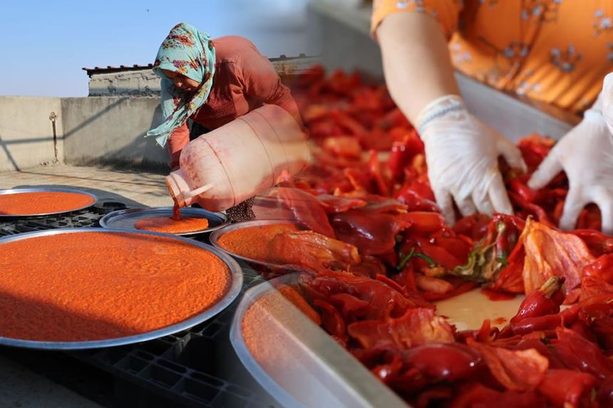 Kahramanmaraş'ta salçalık biberin kilo fiyatı belli oldu! Biberi kaça aldınız sezonu açıldı!