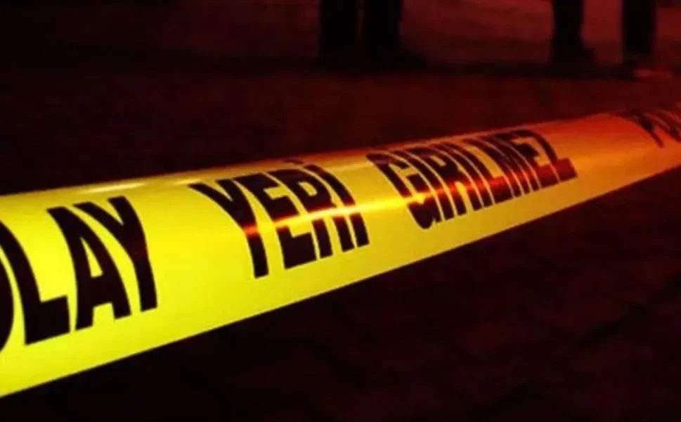 Elbistan'da Vahşet: Boş Arazide Yakılmış Köpek Bulundu