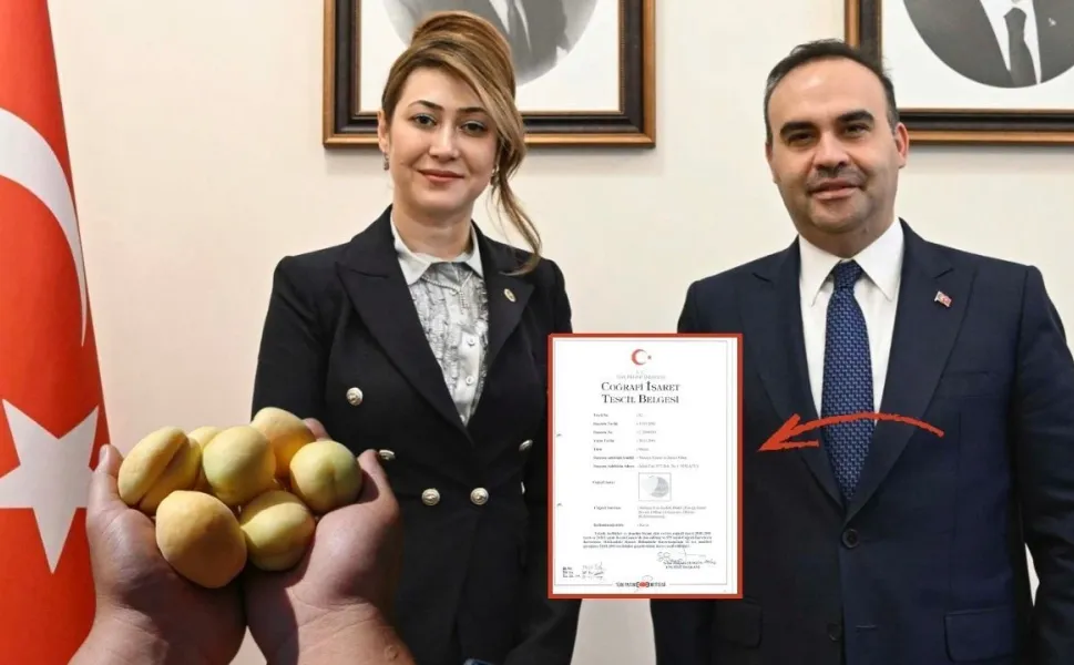 Rengi başka, tadı başka: Kayısıyı Elbistan'a tescilleyeceğiz