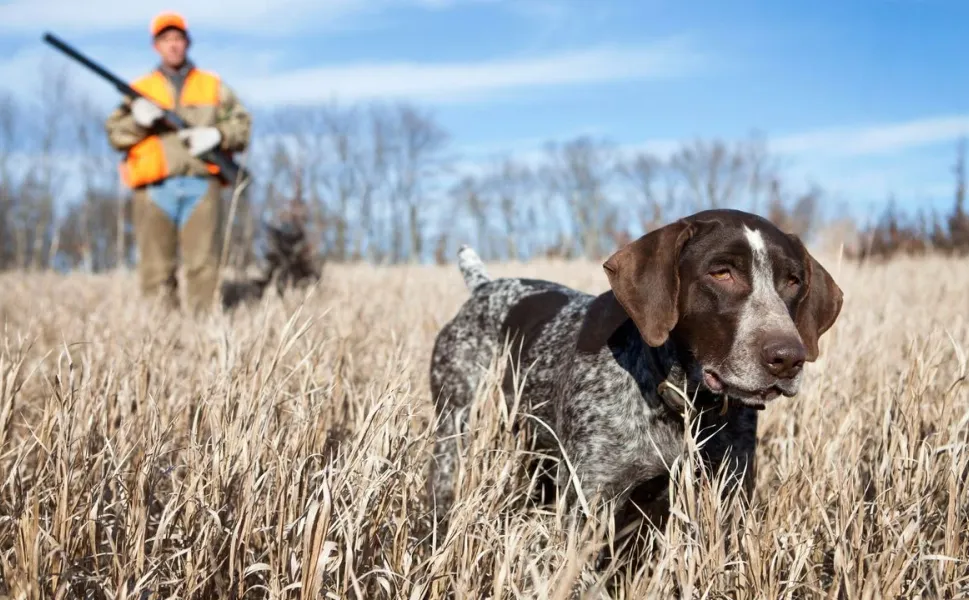 Kahramanmaraşlılar bu habere dikkat: 1 Mart itibarı ile yasak