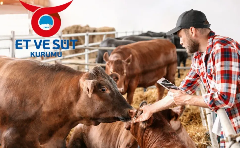 Kahramanmaraşlı Besiciler Dikkat: ESK Hayvan Teslimat Tarihlerini Güncelledi!