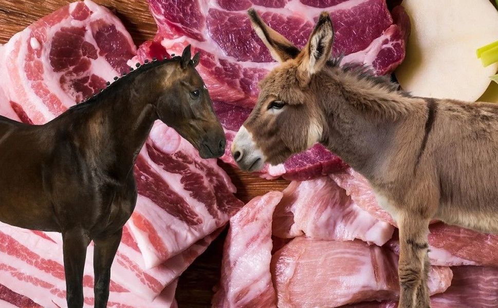 Kahramanmaraş'ta çok meşhur marketteki dönerde at ve eşek eti çıktı!