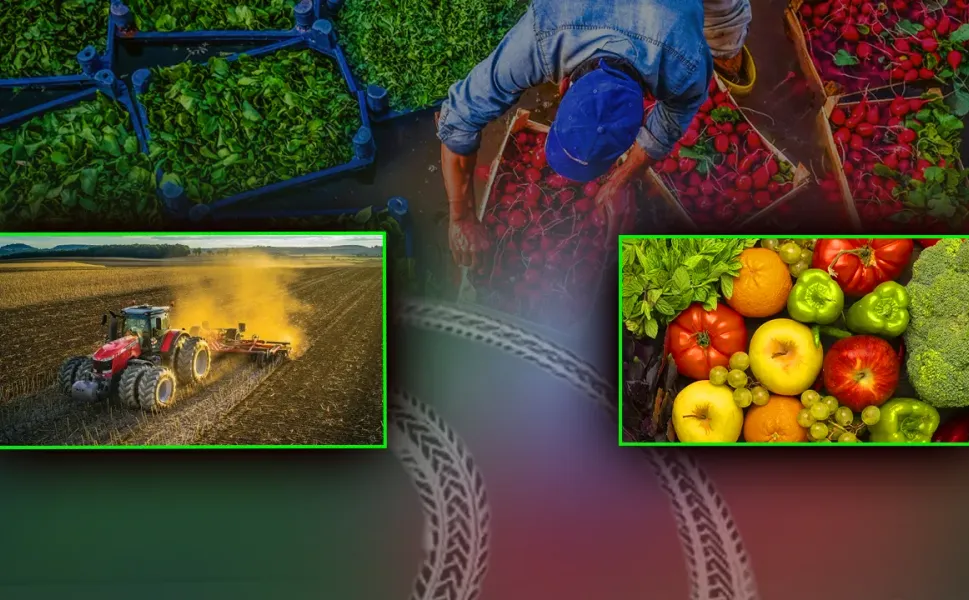 Kahramanmaraş'ta çiftçileri yakından ilgilendiriyor; uygulamayana para cezası var!