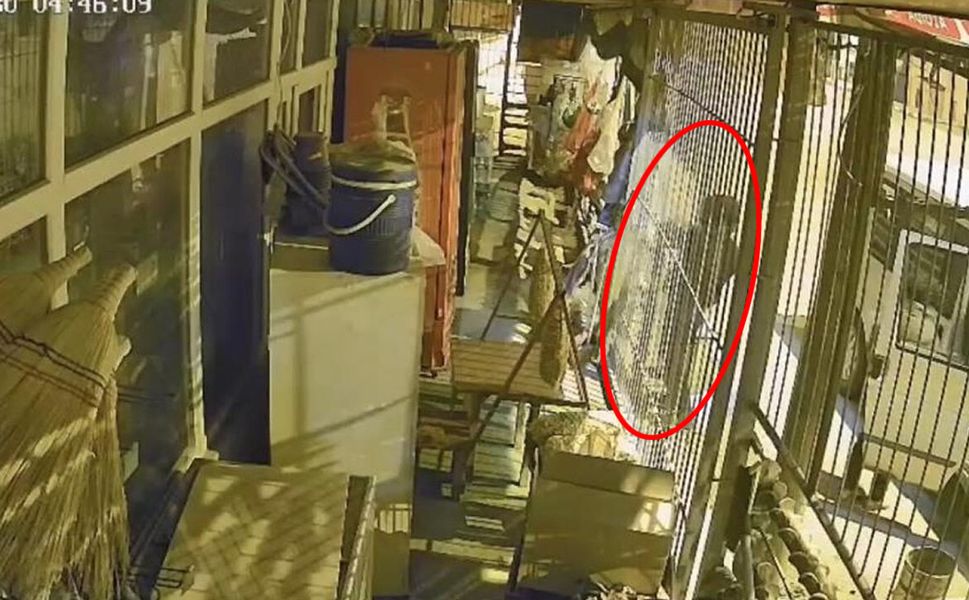 GBT sorgusu bitmek bilmedi! Kahramanmaraş'ta iz bırakan hırsız sonunda yakalandı!