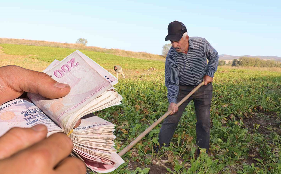 Kahramanmaraş'taki çiftçilere can suyu! Destek ödemeleri hesaplarda