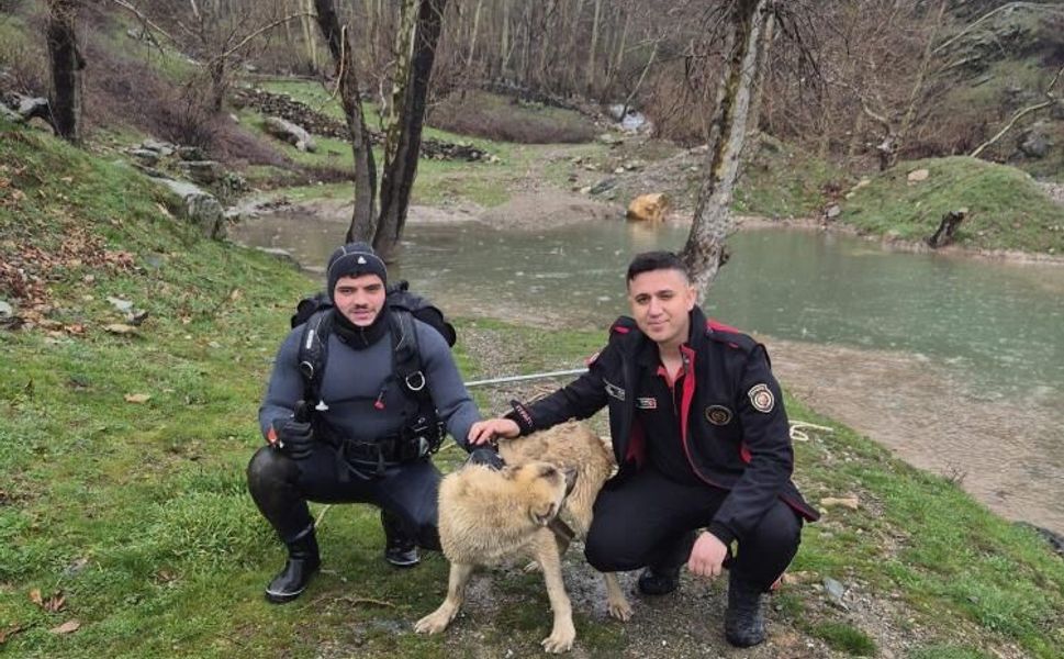Kahramanmaraş’ta Nefes Kesen Kurtarma: Mahsur Kalan Köpek Son Anda Kurtarıldı