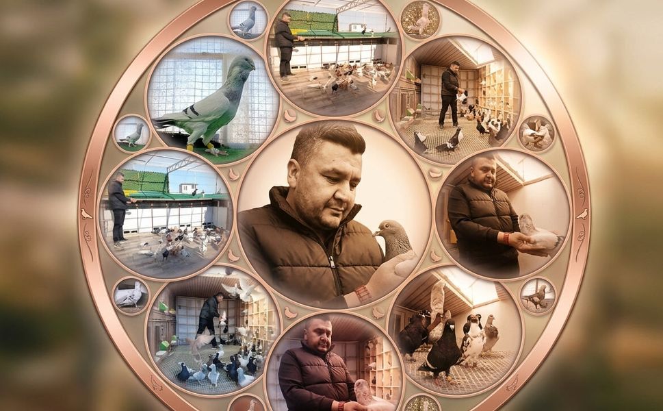 Kahramanmaraş'ta 13 Yıllık Maaşlı İşi Terk Etti: Tanesi 1 Milyon Lira Ediyor