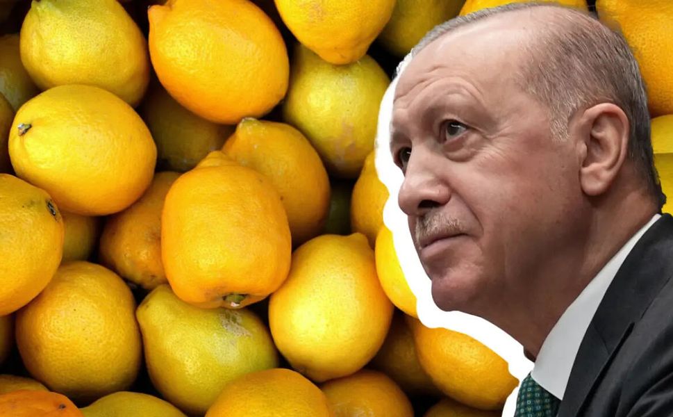Kahramanmaraş'ta limon alarmı: Erdoğan imzayı attı, vergi düştü