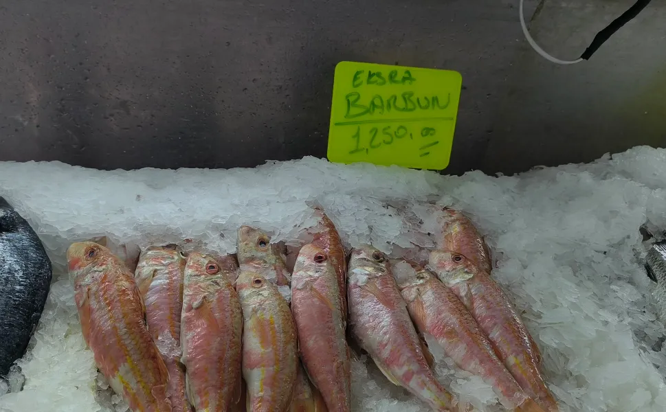 Kahramanmaraş’ta Balık Tüketimi Düştü: Yüksek Fiyatlar Etkili Oldu