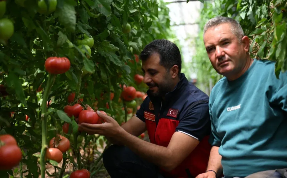 Seralarda İlaç Dönemi Bitti: Kahramanmaraş Tarımda Doğal Devrimi Başlattı!