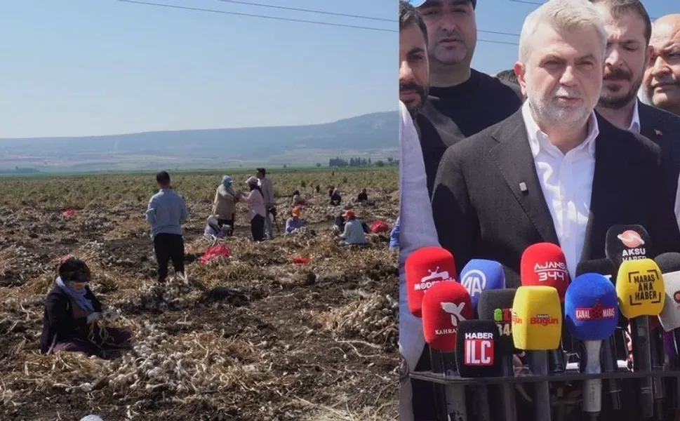 Kahramanmaraş’ın "Beyaz Altını" Pazarcık’ta Hasat Ediliyor: Üreticiye Büyük Destek
