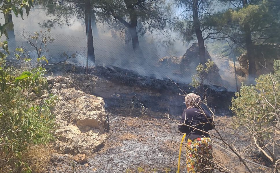 Kahramanmaraş'ta orman yangını büyümeden söndürüldü