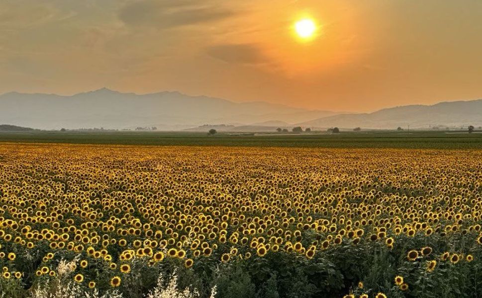 Kahramanmaraş'ı mest eden güzellik: Doğal fotoğraf stüdyosu haline geldi