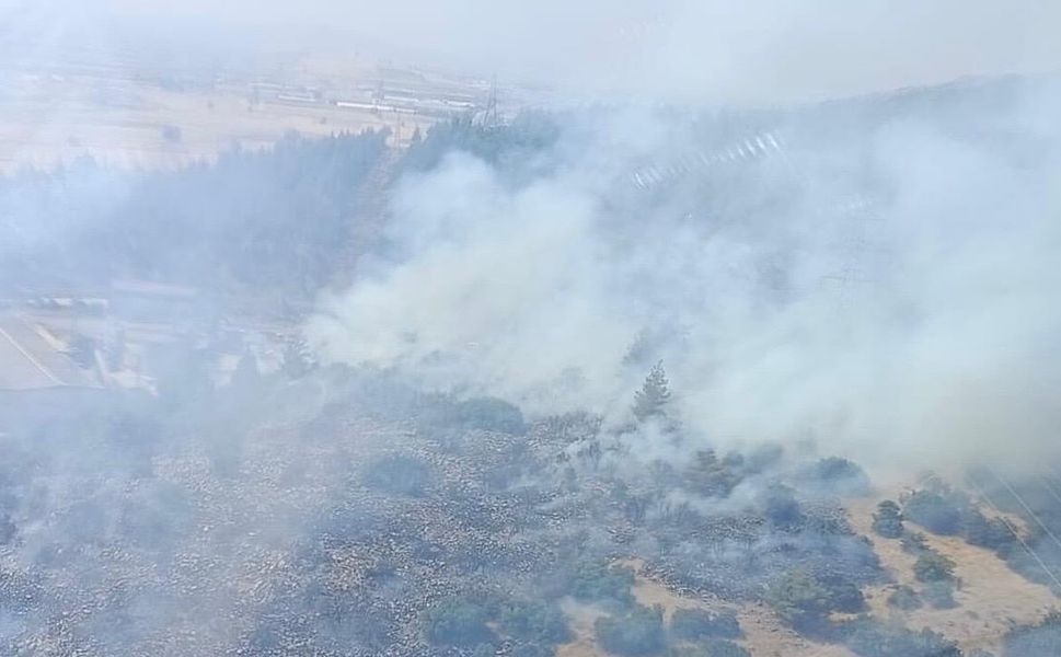 Kahramanmaraş'ta orman alevlere teslim oldu! Yangın kontrol altına alındı