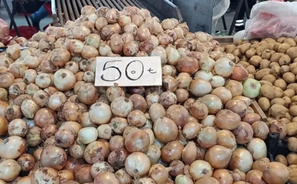 Kahramanmaraş'ta Soğan Rekora Koşuyor: Kilosu 50 TL!