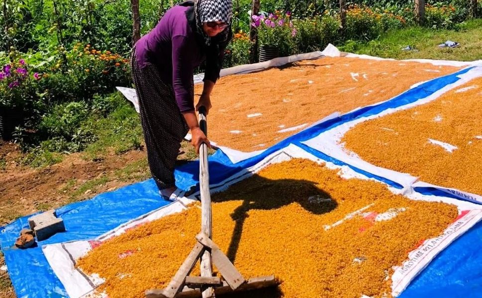 Kahramanmaraş'ta Kışlık Hazırlık: Bulgur Kazanları Kaynadı