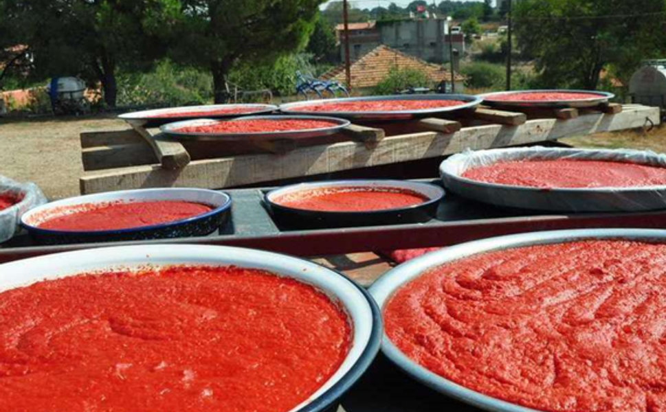 Kahramanmaraş Usulü Biber Salçası Tarifi ve Yapılışı