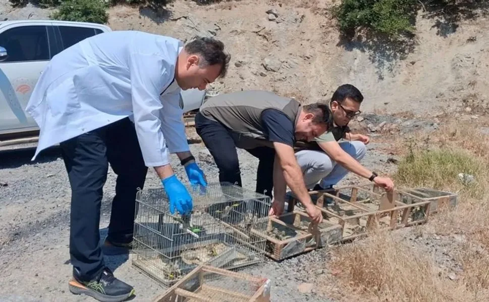 Kahramanmaraş'ta Kaçak Avcılara 2 Milyon Lirayı Aşan Ceza