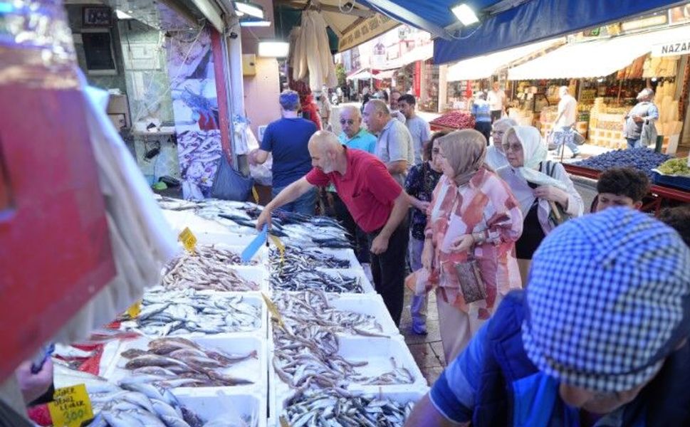 Samsun’da Palamut Fiyatları İki Günde Yarı Yarıya Düştü