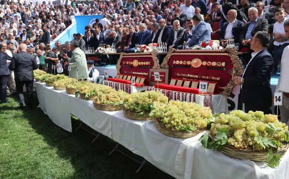 Bertiz Boyalı Güreş Festivali 30. kez düzenlenecek