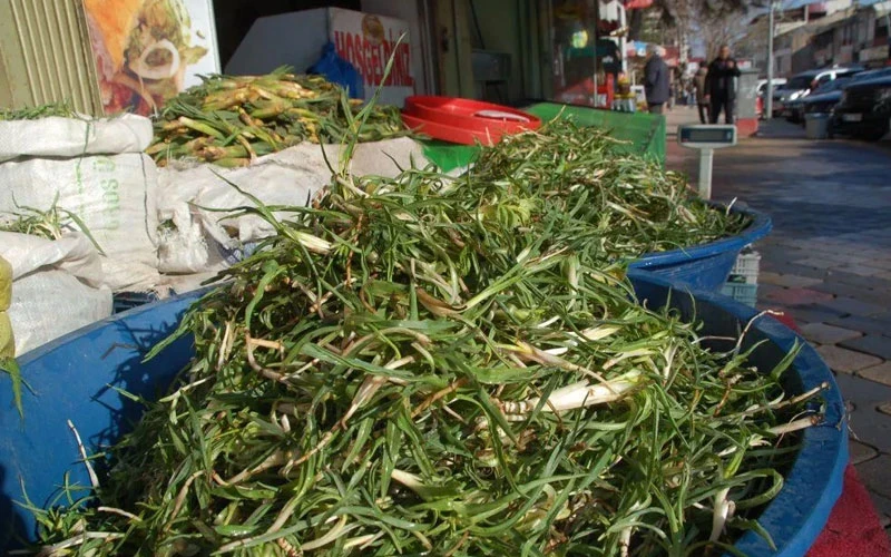 Ulciogpo