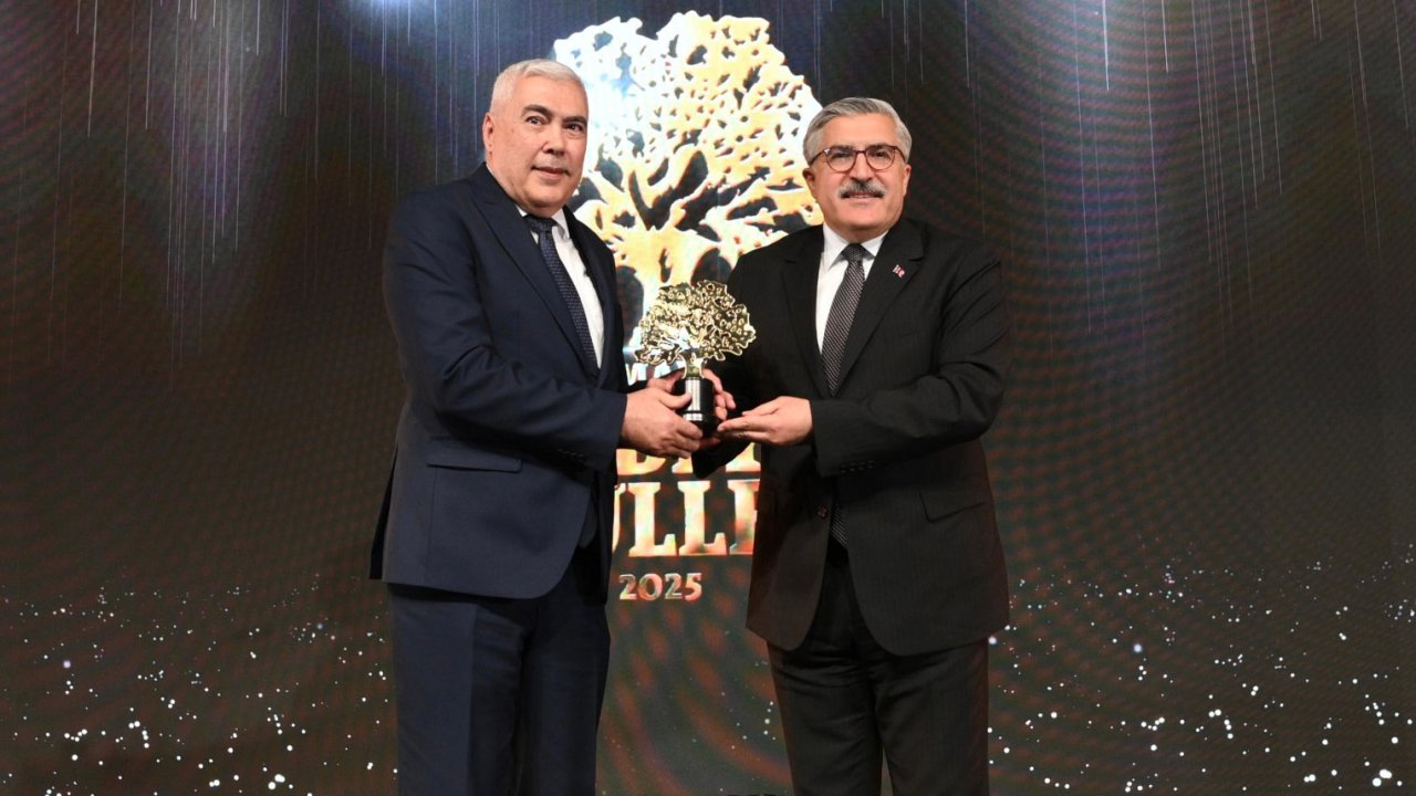 Ali Avgin Odulu