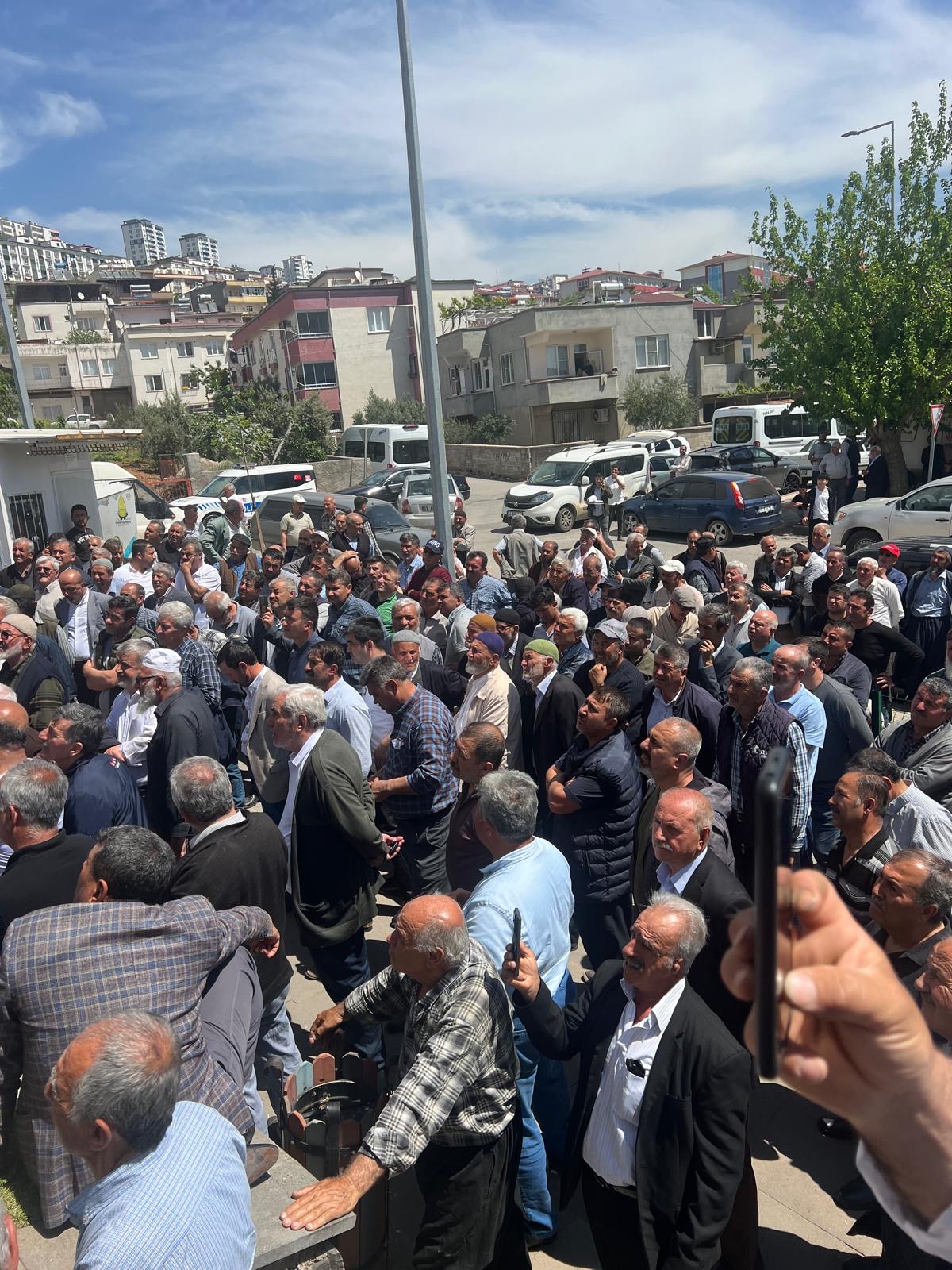 Aricilik Secim 3