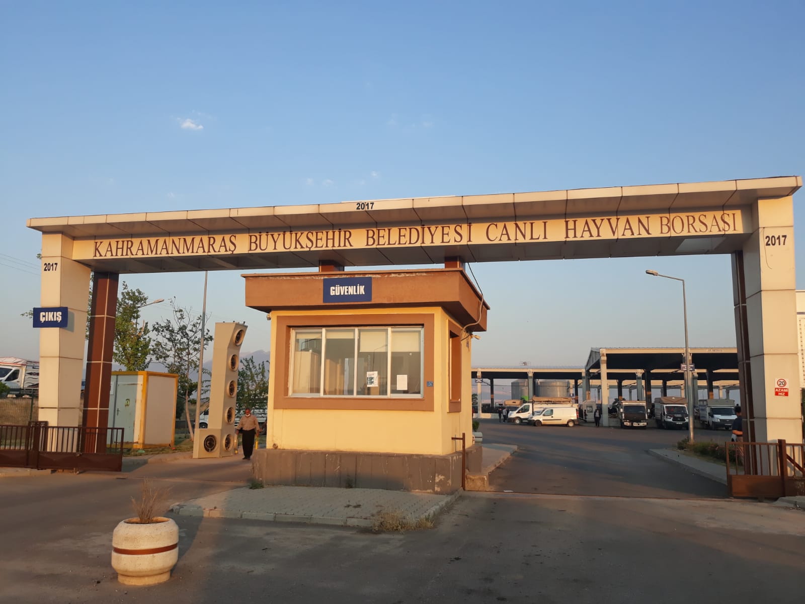 Canli Hayvan Borsasi 1
