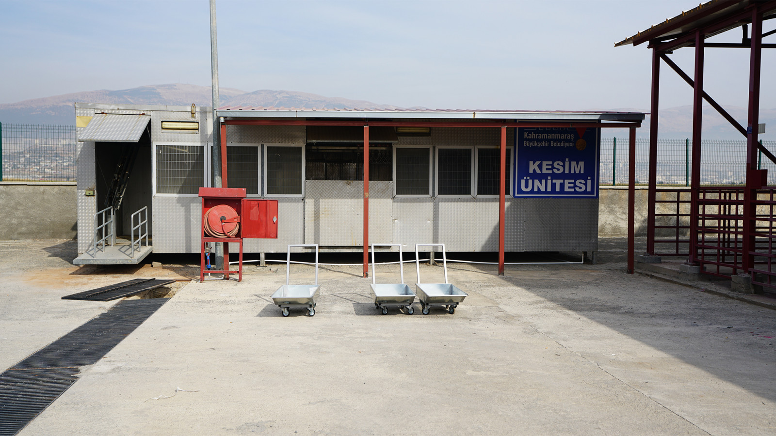 Canli Hayvan Borsasi 2