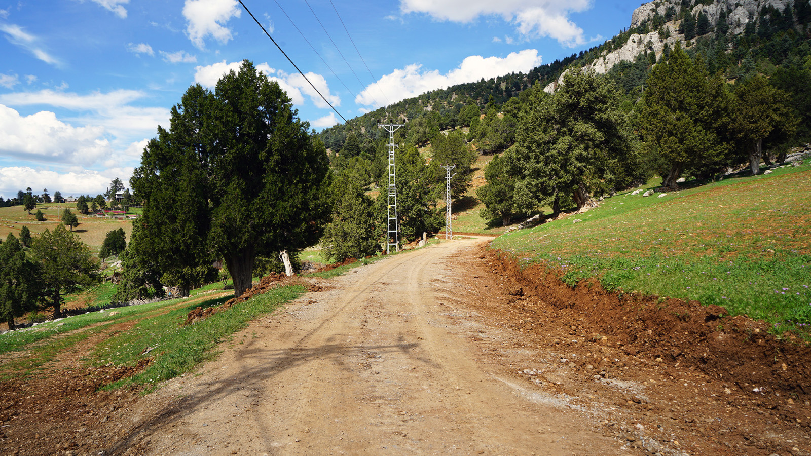 Kaleboynu Aybasti Yolu 5
