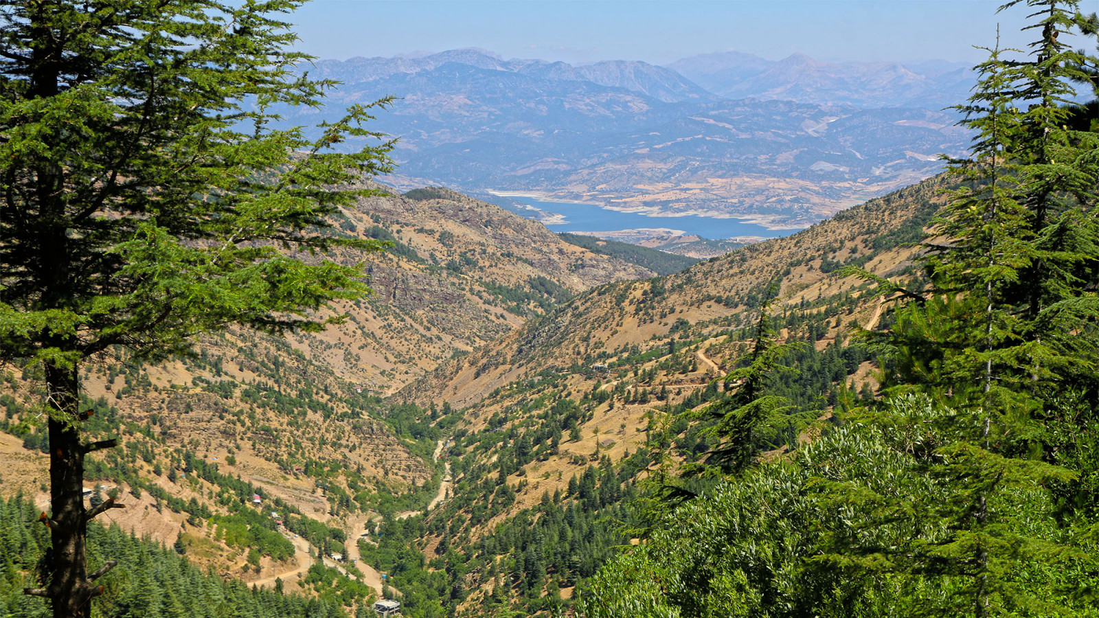 Yavsan Yaylasi 5