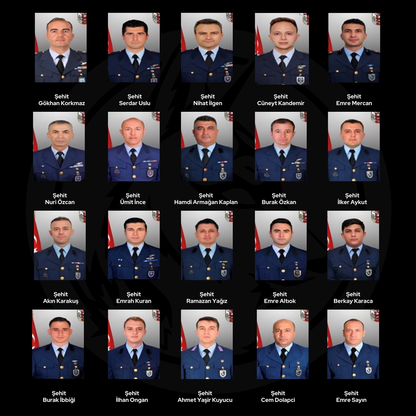 580051446 18491890381073824 4786856833988628559 N