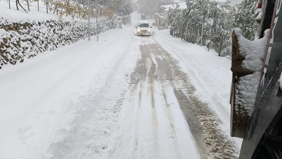 607424359 18415244254136337 2642330072316446374 N