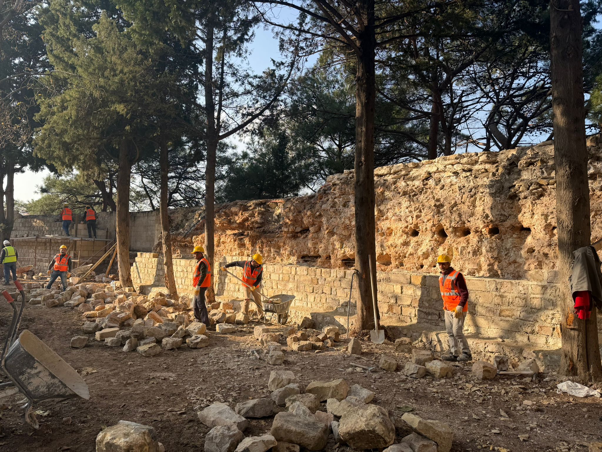 Whatsapp Image 2025 12 12 At 15.26.43