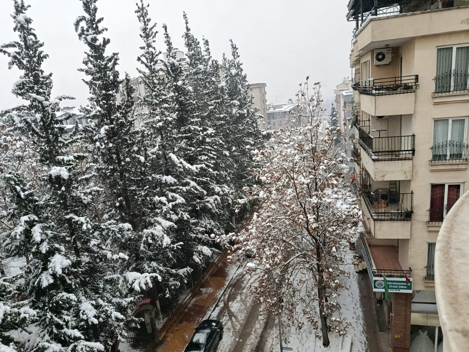 Whatsapp Image 2026 01 01 At 11.27.24