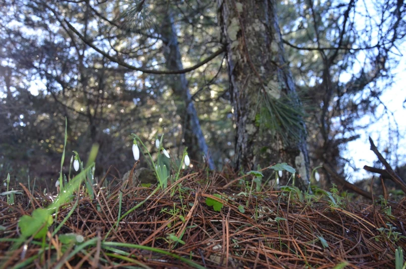 Aw634449 03 Buyuk 0Xni