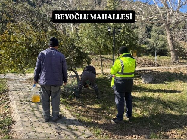 650053024 18104290442498615 7923916965032255100 N