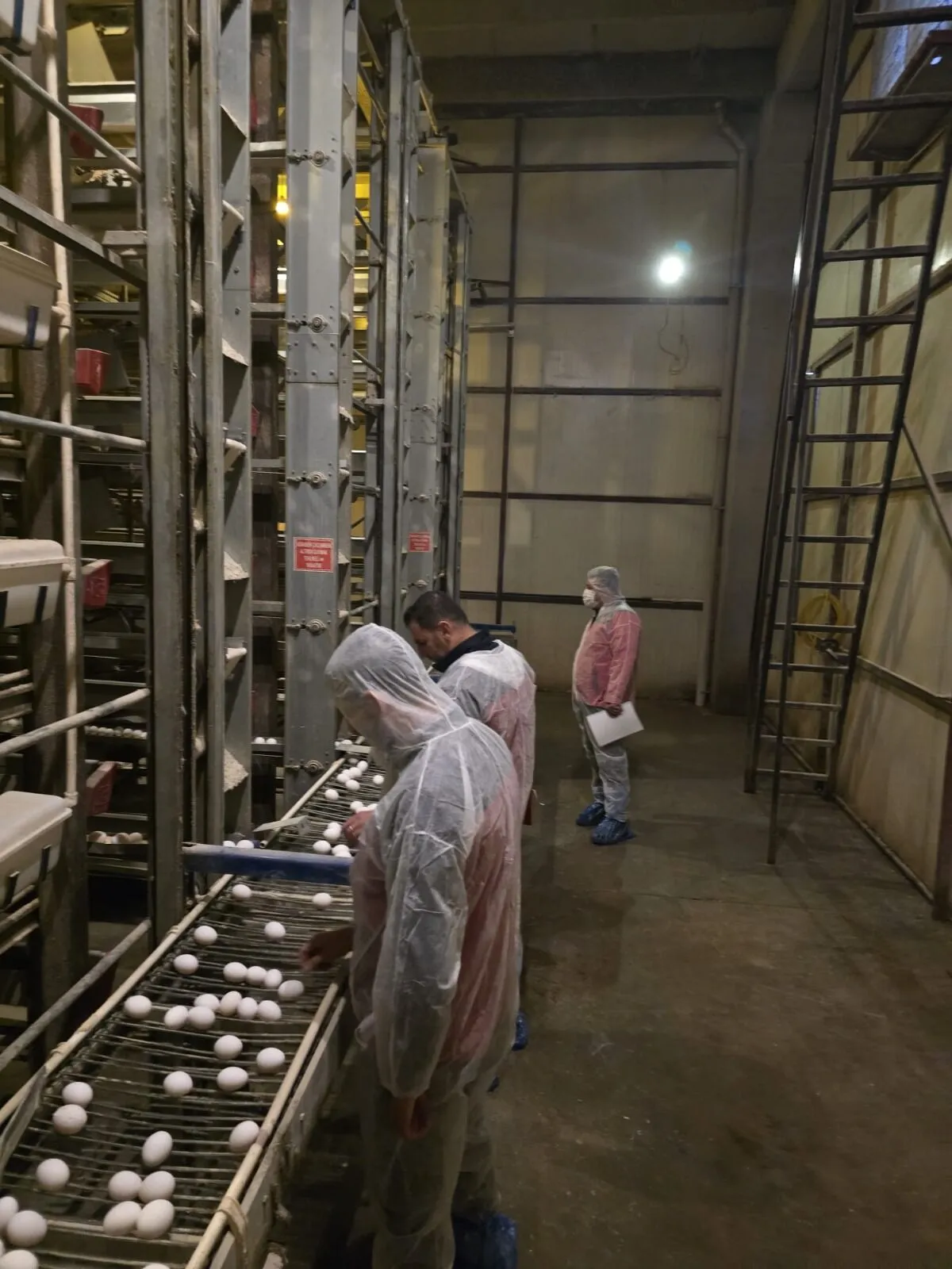 Kahramanmarasta Kanatli Isletmelerine Siki Denetim 1