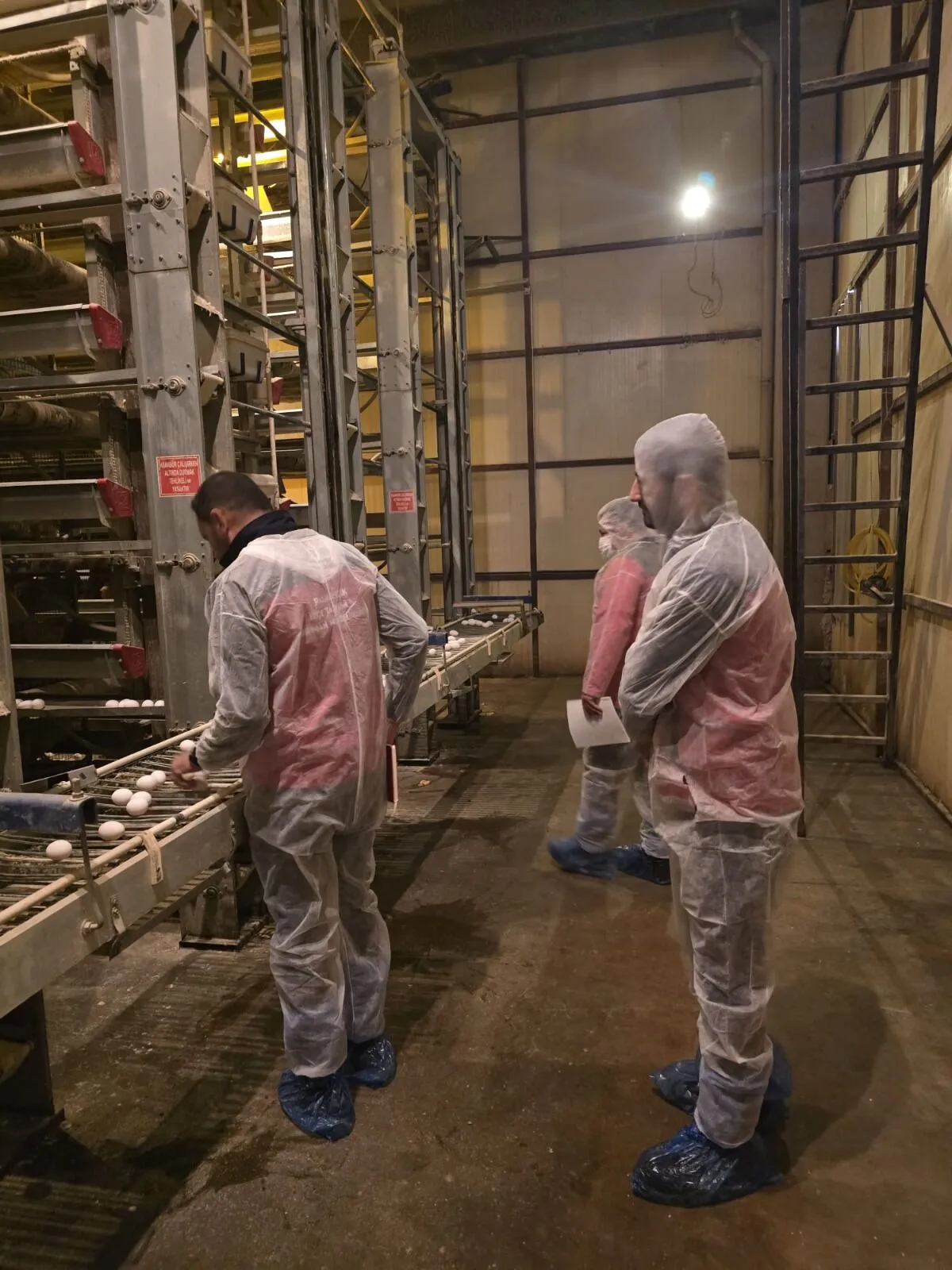 Kahramanmarasta Kanatli Isletmelerine Siki Denetim 3