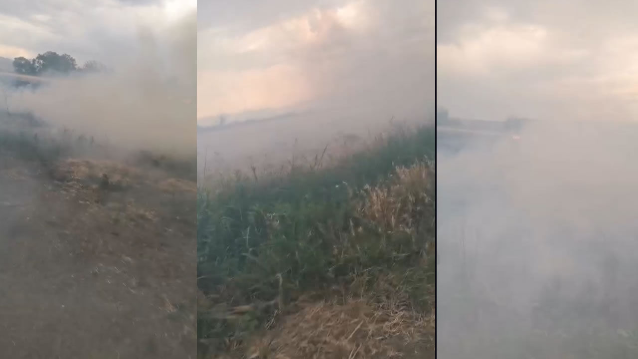Kahramanmaraş'ta yıldırım nedeniyle buğday alanı zarar gördü