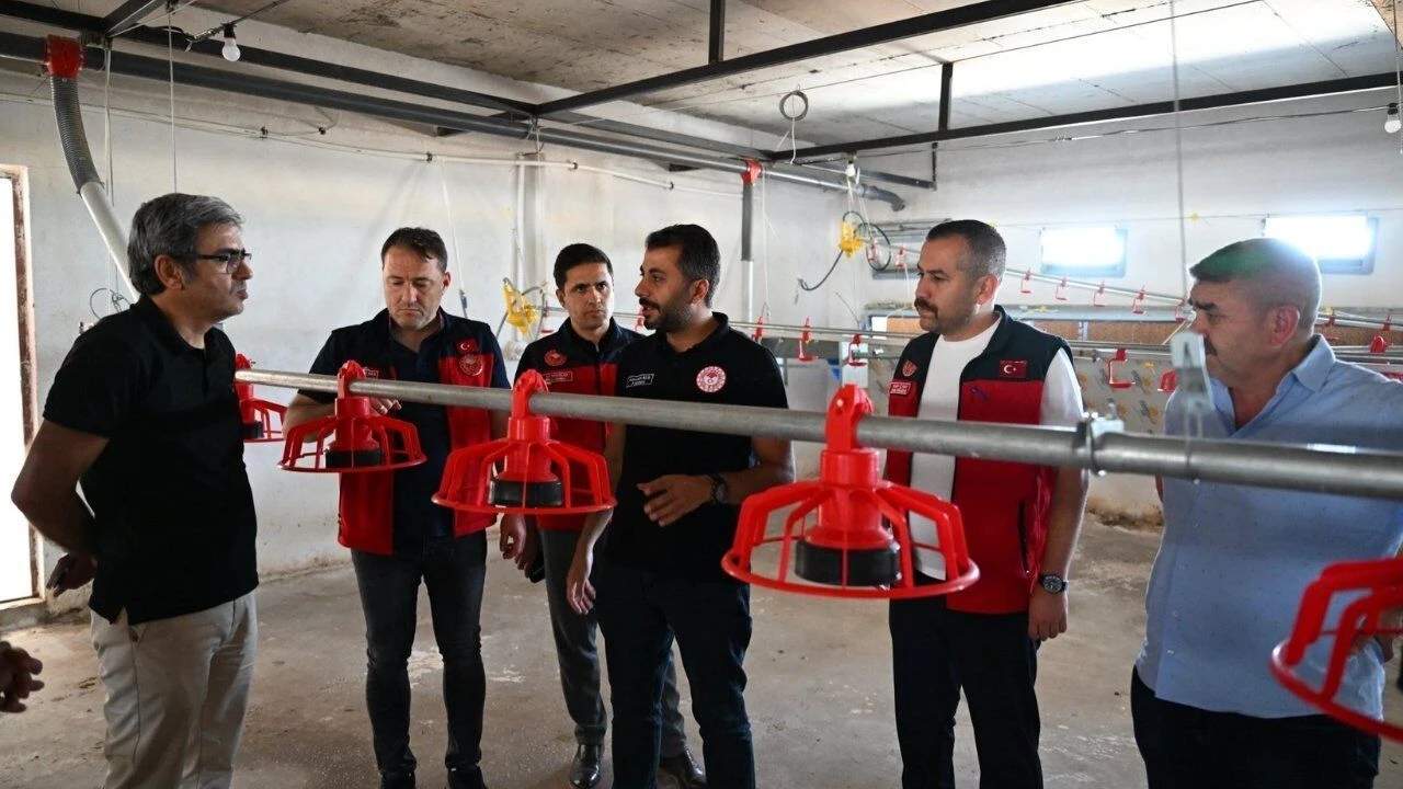 Kahramanmarasta 20 Milyon Tllik Tavukculuk Tesisi Uretime Basladi