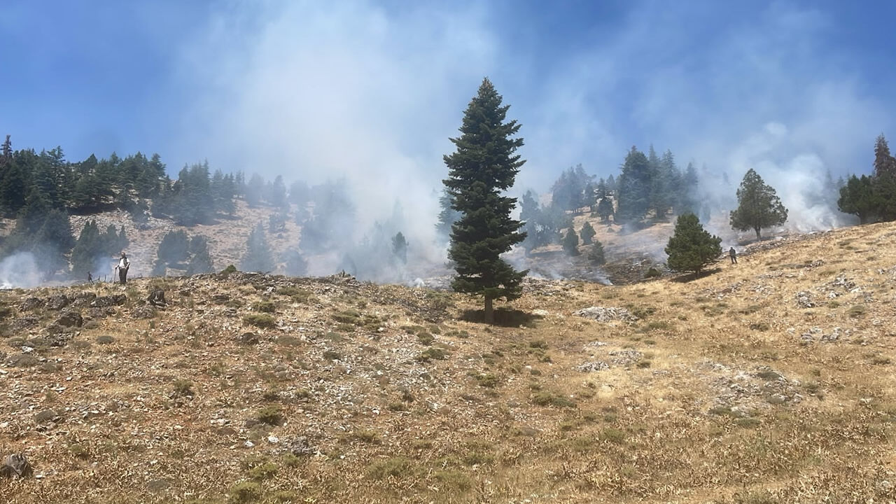 Kahramanmaraş'ta korkutan yangın! Alevler ormanı sardı