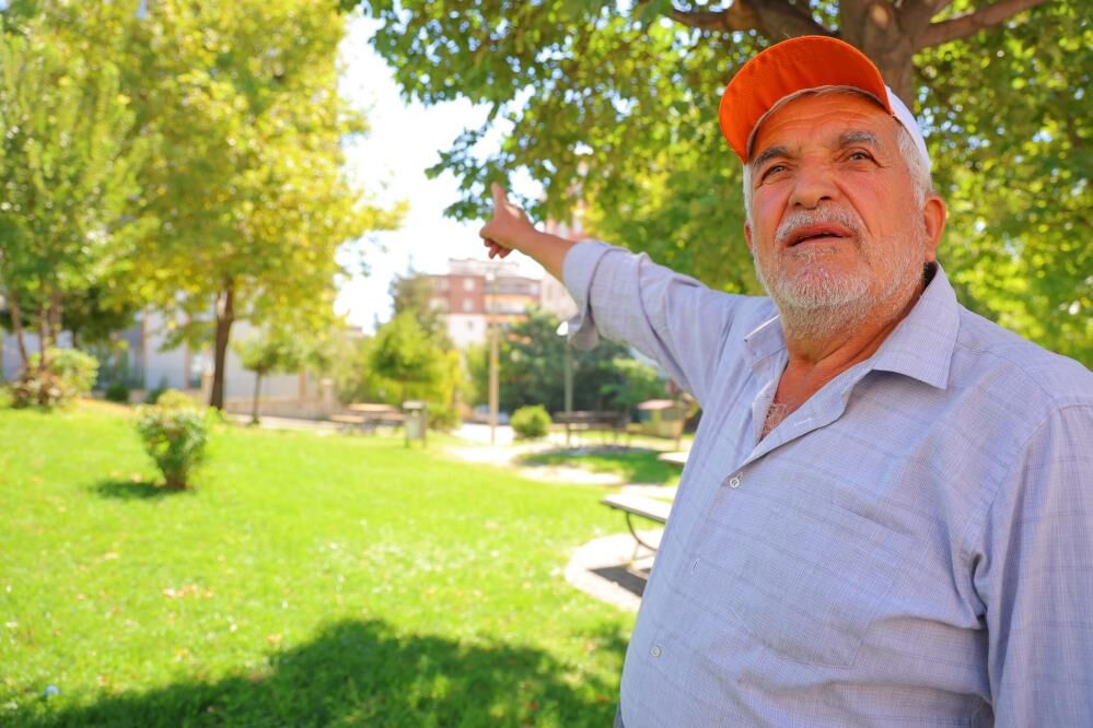 Kahramanmaraş’ta kargalar parkı mesken tuttu