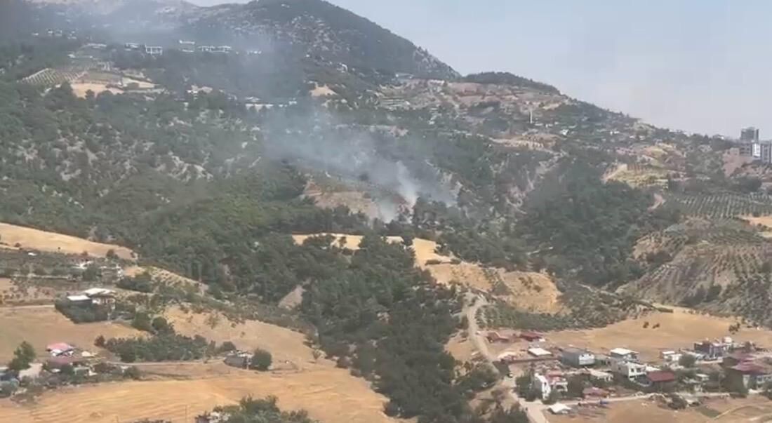 Kahramanmaraş'ta ormanlık alanda yangın çıktı, ekipler hızla müdahale etti