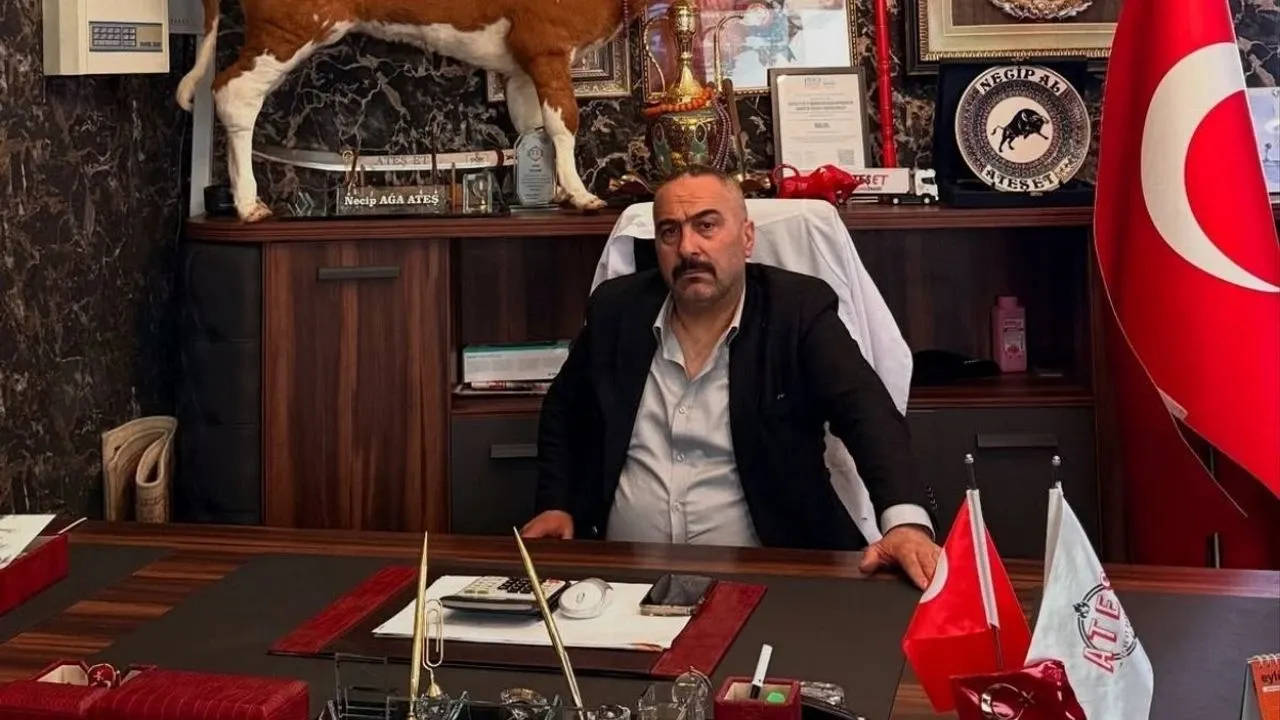 Kahramanmaraş'ta Acı Kaza: Ali Al Hayatını Kaybetti