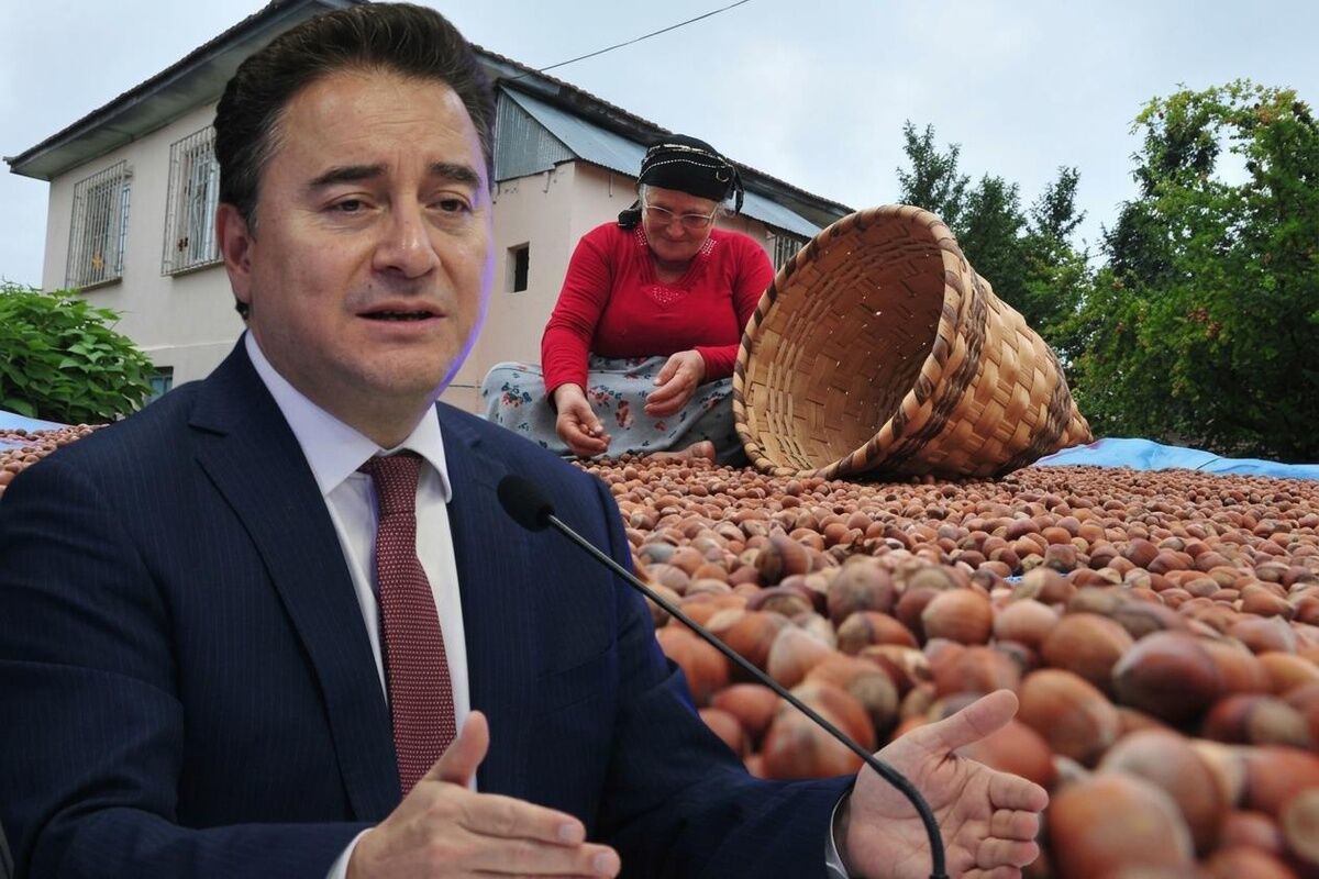 Ali Babacan Sakarya'da fındık üreticilerini dinledi