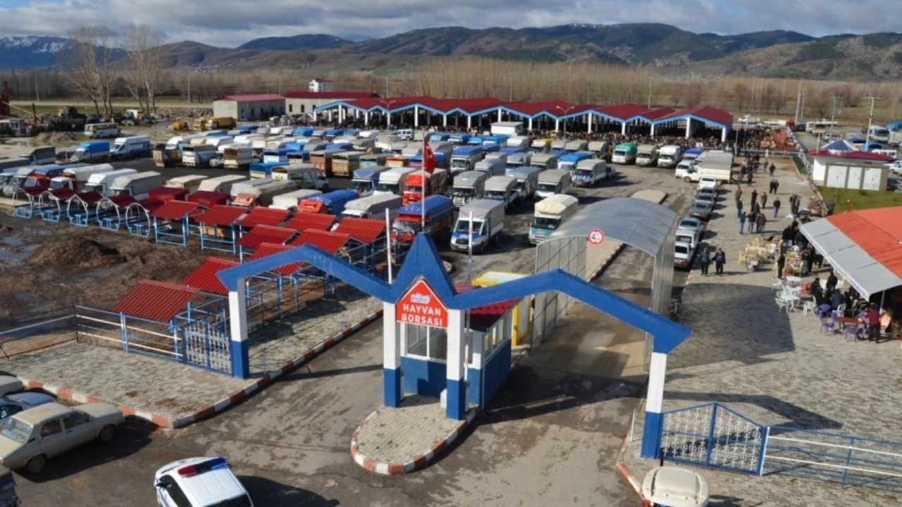 Kahramanmaraş’ta şap hastalığı alarmı: Göksun Hayvan Borsası kapatıldı