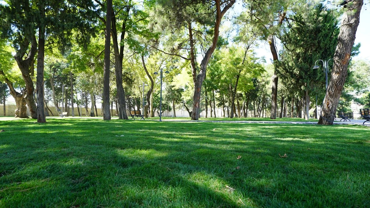 Kale Açılış