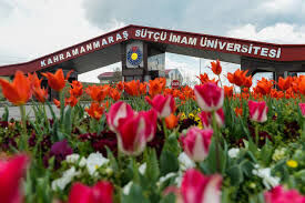 KSÜ Öğretim Üyesi Alım İlanı Başvuru Şartları